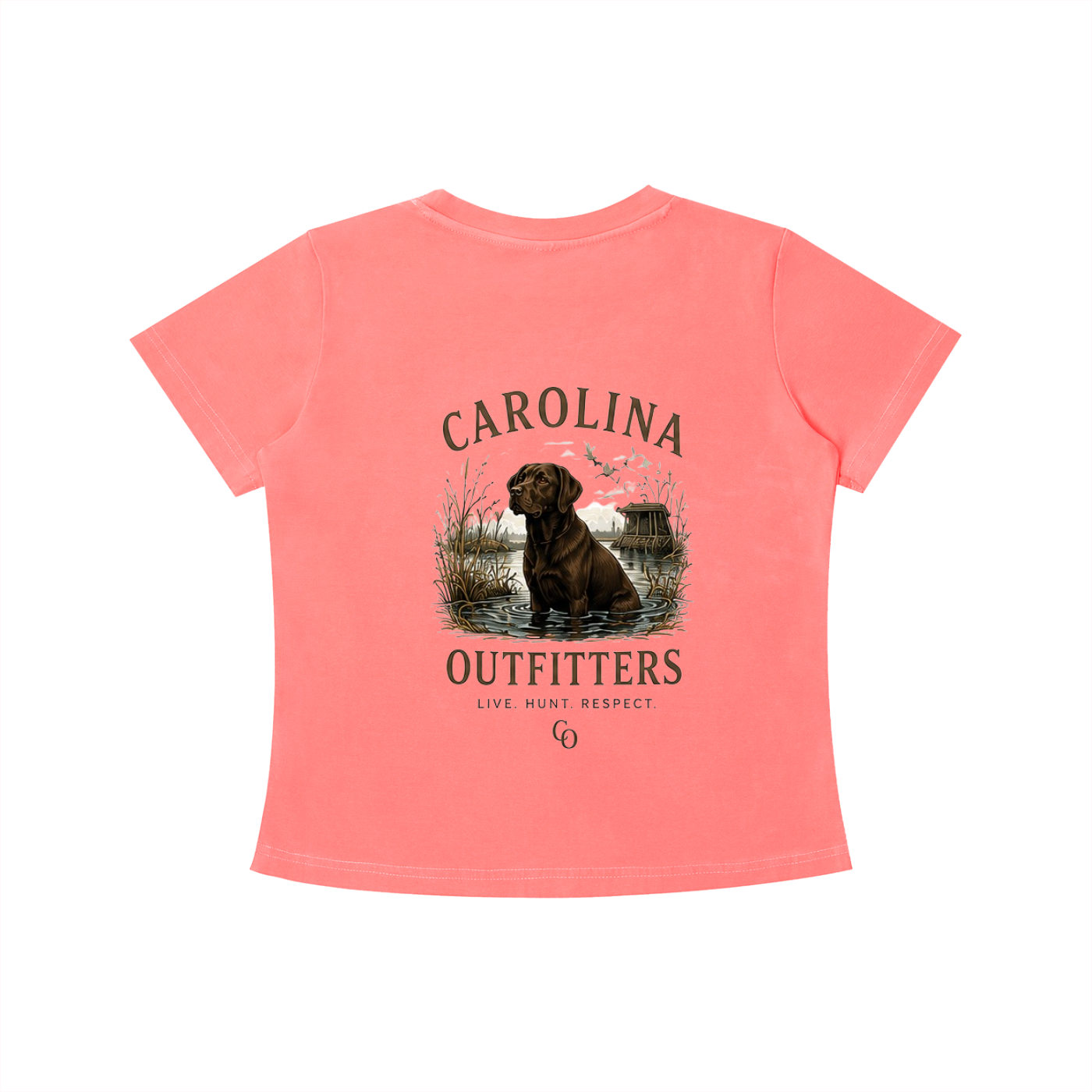 Womens Vintage Wash Carolina Outfitters Chocolate Lab T-shirt